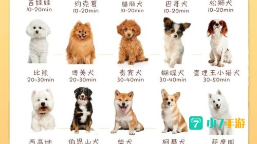 宠物图鉴