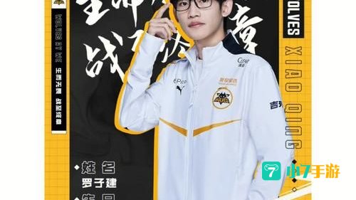 狼队下载