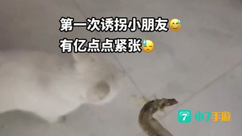 小动物诱拐者