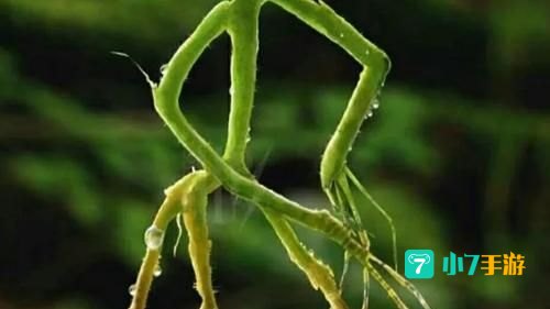 哈利波特最讨厌的地方巨大的生物