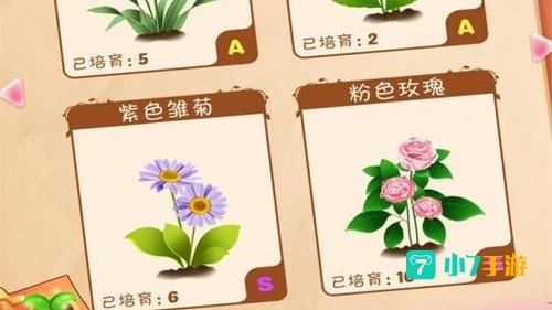 花儿连连看