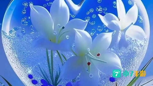 心连薪