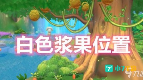 白色浆果在哪
